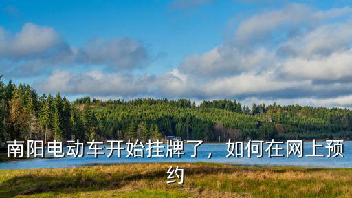 南陽電動車登記網上怎么填,南陽市電動車怎么上牌