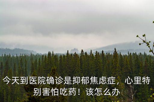今天到醫院確診是抑郁焦慮癥，心里特別害怕吃藥！該怎么辦