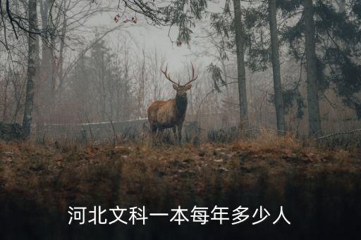 河北文科一本每年多少人