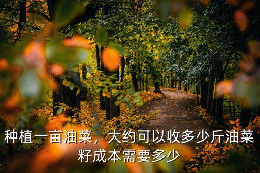 油菜一畝地用多少復合肥,種植一畝油菜