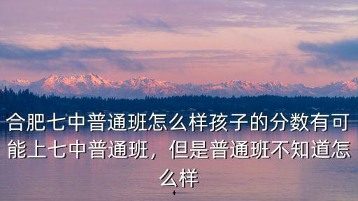 合肥七中的高中分數線是多少,合肥的哪些高中比較好