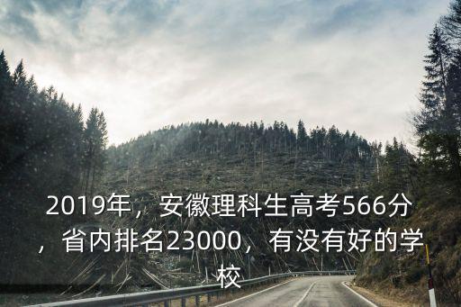 安徽2019高考397分排名多少,省內排名23000
