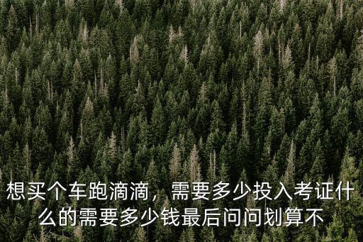衡水多少錢(qián)的車(chē)能跑滴滴,考證什么的需要多少錢(qián)