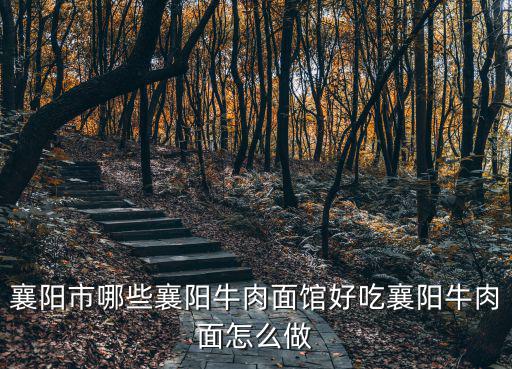 襄陽(yáng)牛肉面的牛油怎么熬才香,襄陽(yáng)牛肉面怎么做