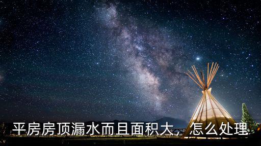 平房房頂漏水而且面積大，怎么處理