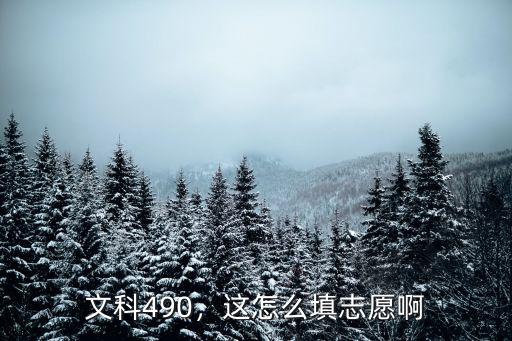 湖北文科428怎么填志愿,志愿該怎么填