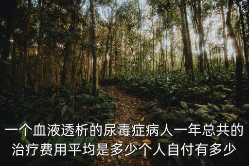 一個血液透析的尿毒癥病人一年總共的治療費用平均是多少個人自付有多少