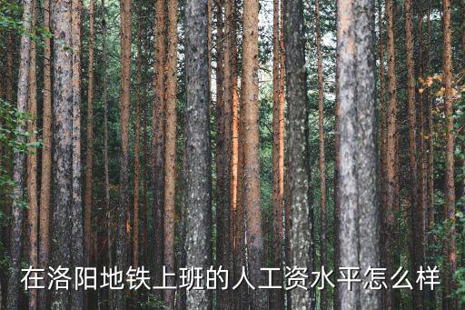 在洛陽(yáng)地鐵上班的人工資水平怎么樣