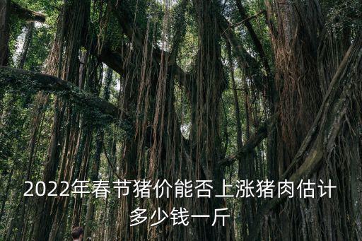 宿州今大豬價多少一斤,豬肉估計多少錢一斤