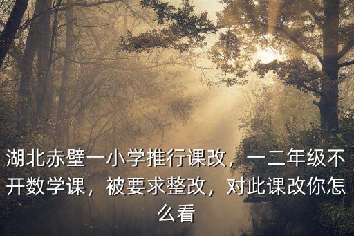 湖北課改網怎么看自己的組員,對此課改你怎么看
