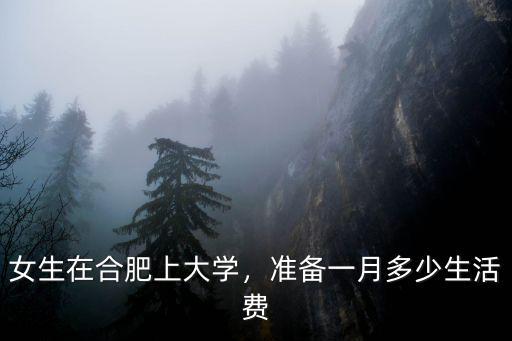 合肥大學(xué)住宿費(fèi)多少錢一個(gè)月,女生在合肥上大學(xué)