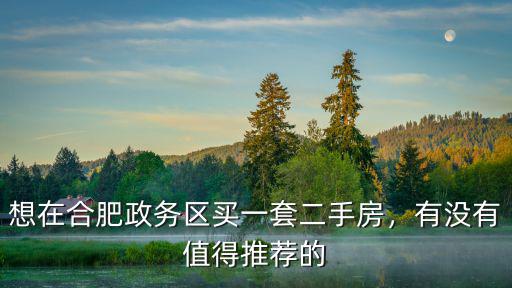 二手房房齡多少合適合肥,想在合肥政務(wù)區(qū)買(mǎi)一套二手房