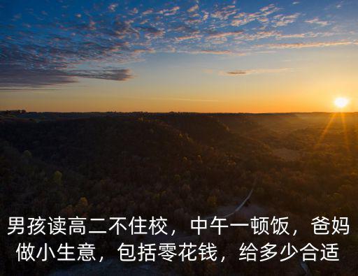 男孩讀高二不住校，中午一頓飯，爸媽做小生意，包括零花錢，給多少合適