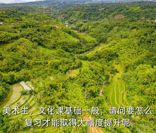 美術(shù)生，文化課基礎(chǔ)一般，請問要怎么復(fù)習(xí)才能取得大幅度提升呢