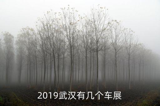 2019武漢有幾個(gè)車展