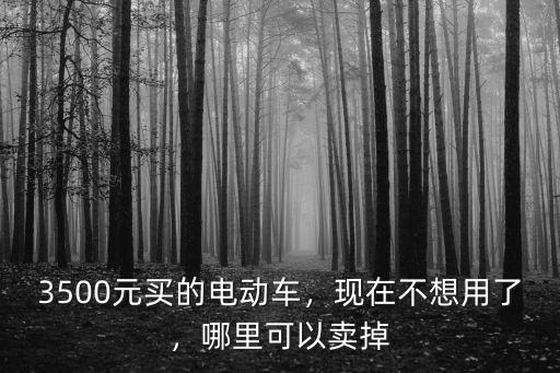 3500元買的電動車，現在不想用了，哪里可以賣掉