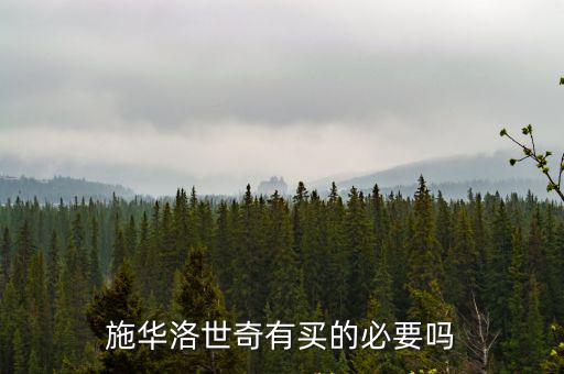 自貢哪里有賣施華洛世奇,手上有一條施華洛世奇