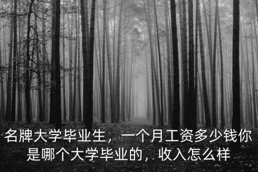 名牌大學(xué)畢業(yè)生，一個月工資多少錢你是哪個大學(xué)畢業(yè)的，收入怎么樣