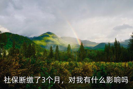 武漢社保斷繳三個月后怎么辦,社保斷繳了3個月