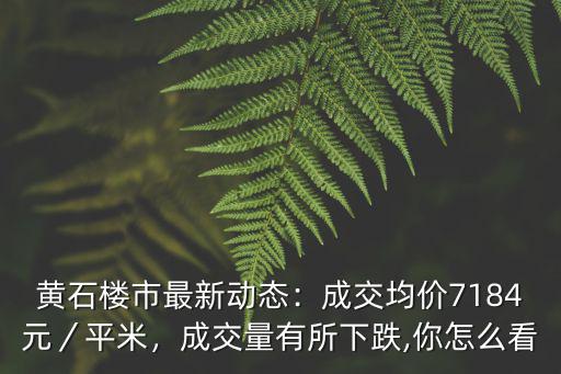 黃石樓市最新動態：成交均價7184元／平米，成交量有所下跌,你怎么看