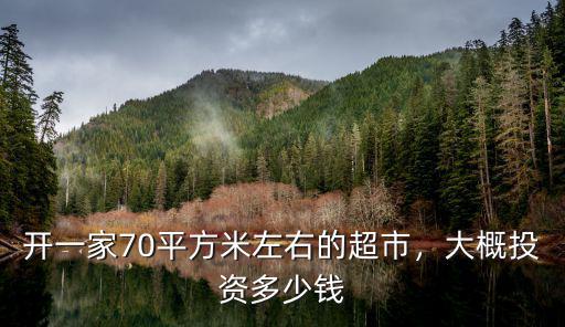 邯鄲開一家超市多少錢,開一家70平方米左右的超市