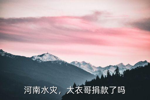 河南水災(zāi)，大衣哥捐款了嗎