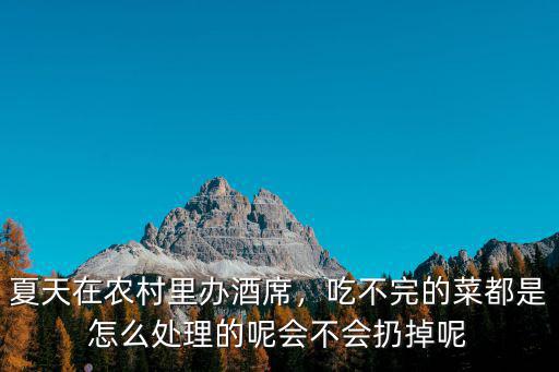 武漢吃不完的菜會怎么樣,對于吃不完的蔬菜