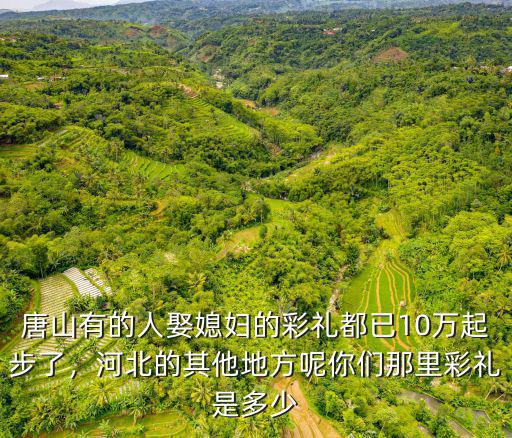 河北平均彩禮錢是多少,河北邯鄲邱縣彩禮是多少