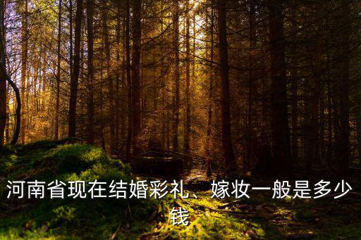 河南省現在結婚彩禮、嫁妝一般是多少錢