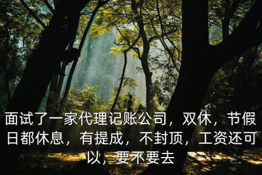 淮北有多少家代里記賬公司,面試了一家代理記賬公司