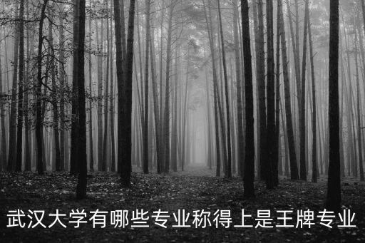 武漢大學有哪些專業稱得上是王牌專業