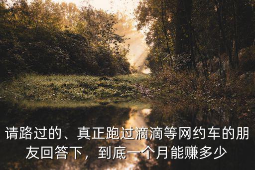 淮南市跑滴滴一個月能賺多少,新手一個月能賺多少錢
