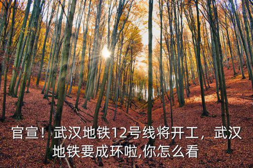 武漢地鐵12線怎么樣,武漢地鐵12號線將開工