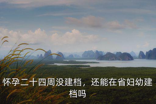 唐山婦幼最晚懷孕多少周建檔,懷孕二十四周沒建檔