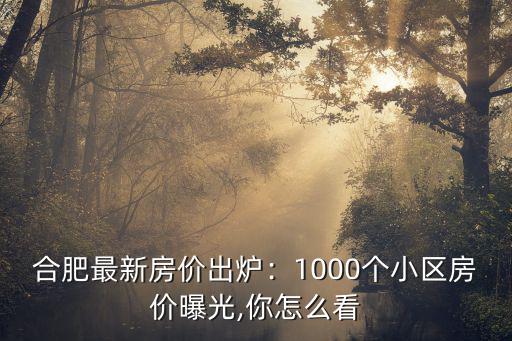 合肥最新房價(jià)出爐：1000個(gè)小區(qū)房價(jià)曝光,你怎么看