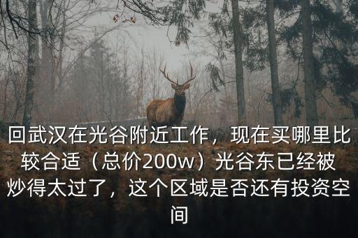 回武漢在光谷附近工作，現在買哪里比較合適（總價200w）光谷東已經被炒得太過了，這個區域是否還有投資空間