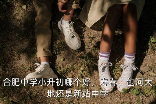 合肥西苑中學中考到校指標是多少,合肥高中既然指標到校