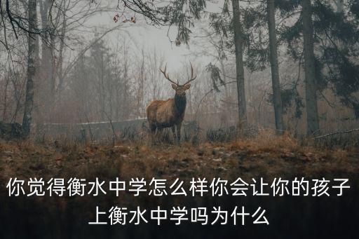 多少分能考入衡水中學,可以考入衡水中學