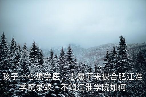 孩子一心想學(xué)醫(yī)，志愿下來被合肥江淮學(xué)院錄取，不知江淮學(xué)院如何