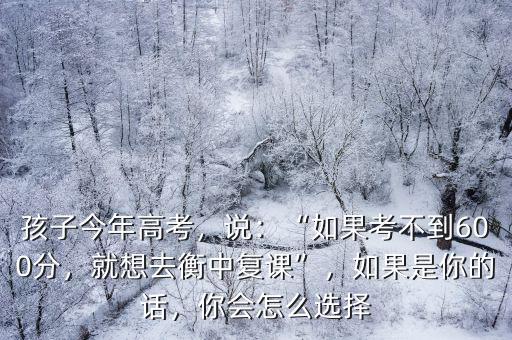 孩子今年高考，說：“如果考不到600分，就想去衡中復(fù)課”，如果是你的話，你會怎么選擇