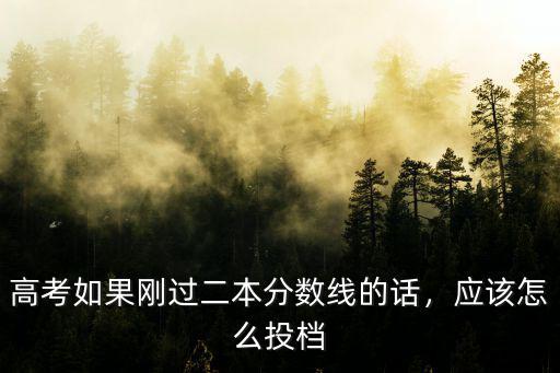 湖北考生過二本線10怎么投檔6,應該怎么投檔