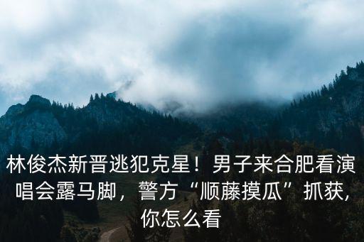林俊杰新晉逃犯克星！男子來合肥看演唱會(huì)露馬腳，警方“順藤摸瓜”抓獲,你怎么看