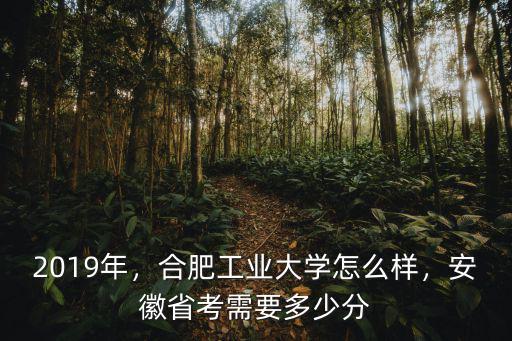 合肥工業(yè)大學(xué)國際班要多少分錄取,合肥工業(yè)大學(xué)怎么樣
