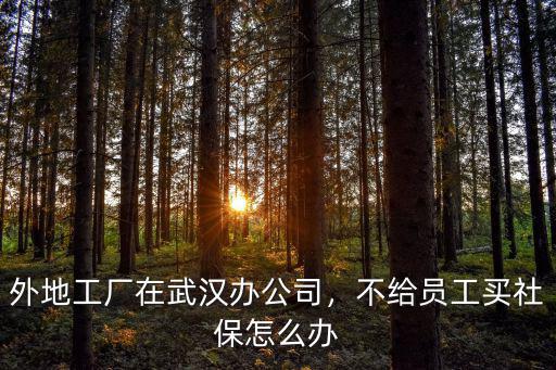 單位不給買武漢的社保怎么辦手續,不給員工買社保怎么辦