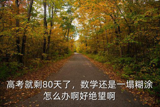 高考就剩80天了，數(shù)學(xué)還是一塌糊涂怎么辦啊好絕望啊
