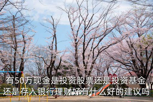 有50萬現(xiàn)金是投資股票還是投資基金還是存入銀行理財(cái)好有什么好的建議嗎