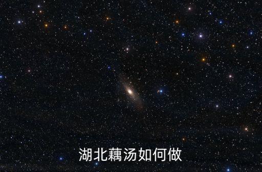湖北藕湯如何做