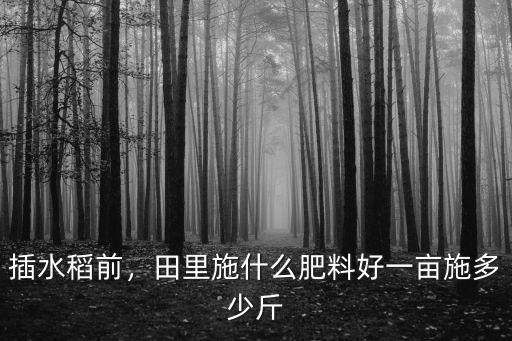 插水稻前，田里施什么肥料好一畝施多少斤