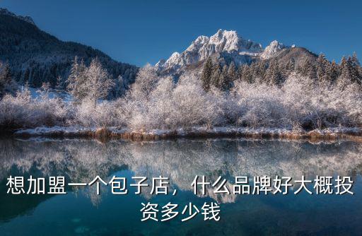 想加盟一個包子店，什么品牌好大概投資多少錢