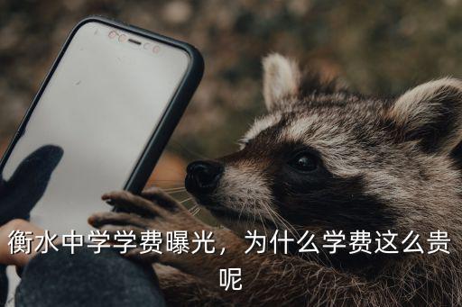 衡水八校學費多少錢,衡水中學學費是多少